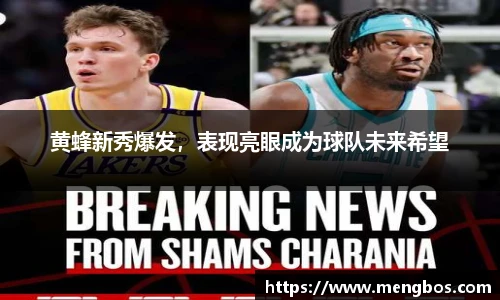 黄蜂新秀爆发，表现亮眼成为球队未来希望