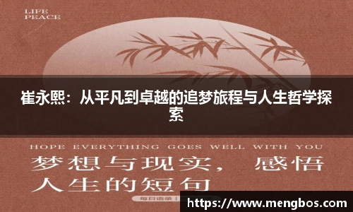 快盈VIII