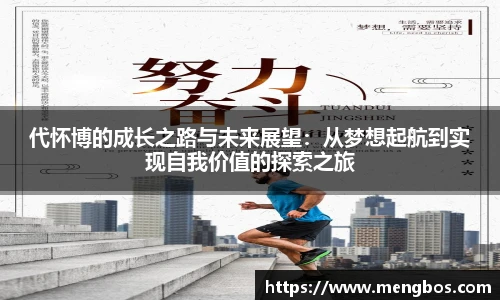 快盈VIII