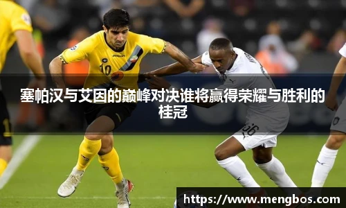 塞帕汉与艾因的巅峰对决谁将赢得荣耀与胜利的桂冠